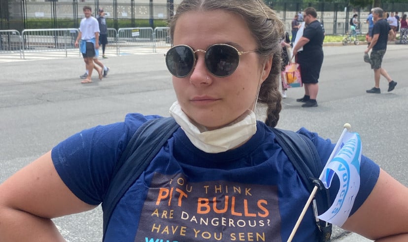 MicrosoftTeams image (14)