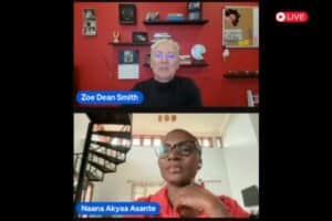 LinkedIn Live Vital Voices Global Fellowship Image (798 x 533 px)